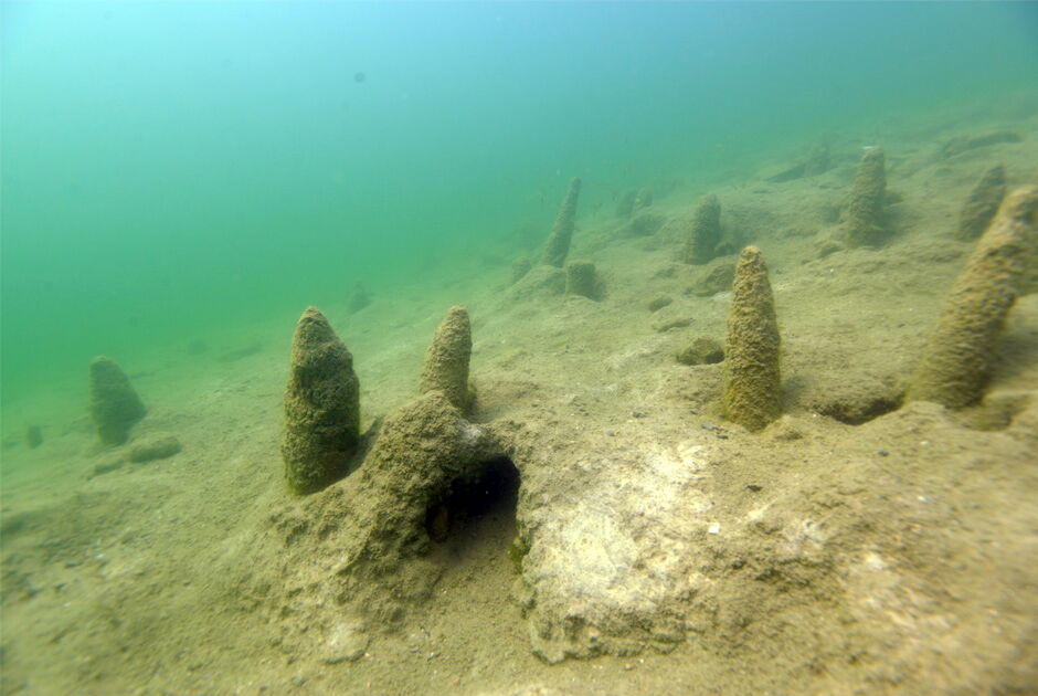 Former island in Lake Keutschach with remains of the oldest known pile dwelling settlement in Austria